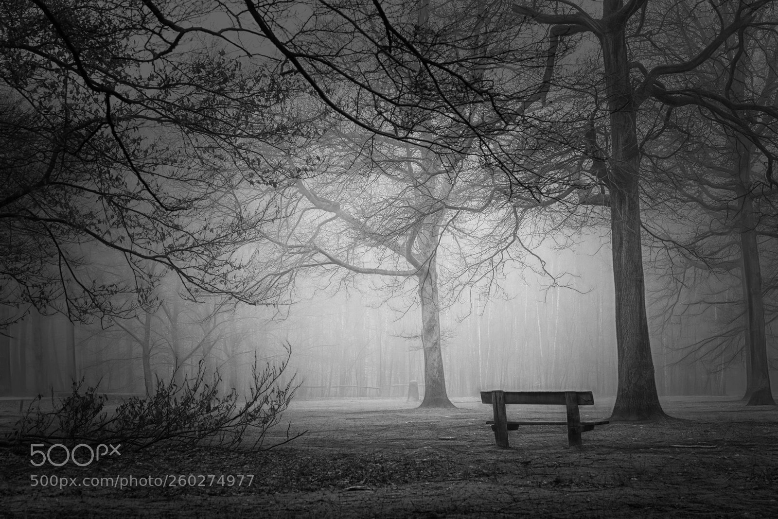 Sony a7R sample photo. Black dream photography