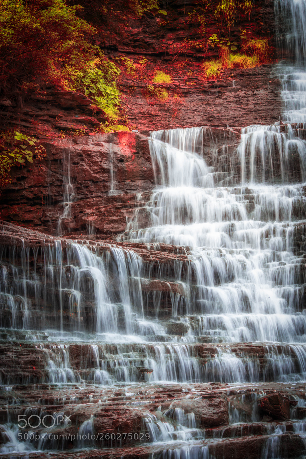 Nikon D600 sample photo. Albion falls photography