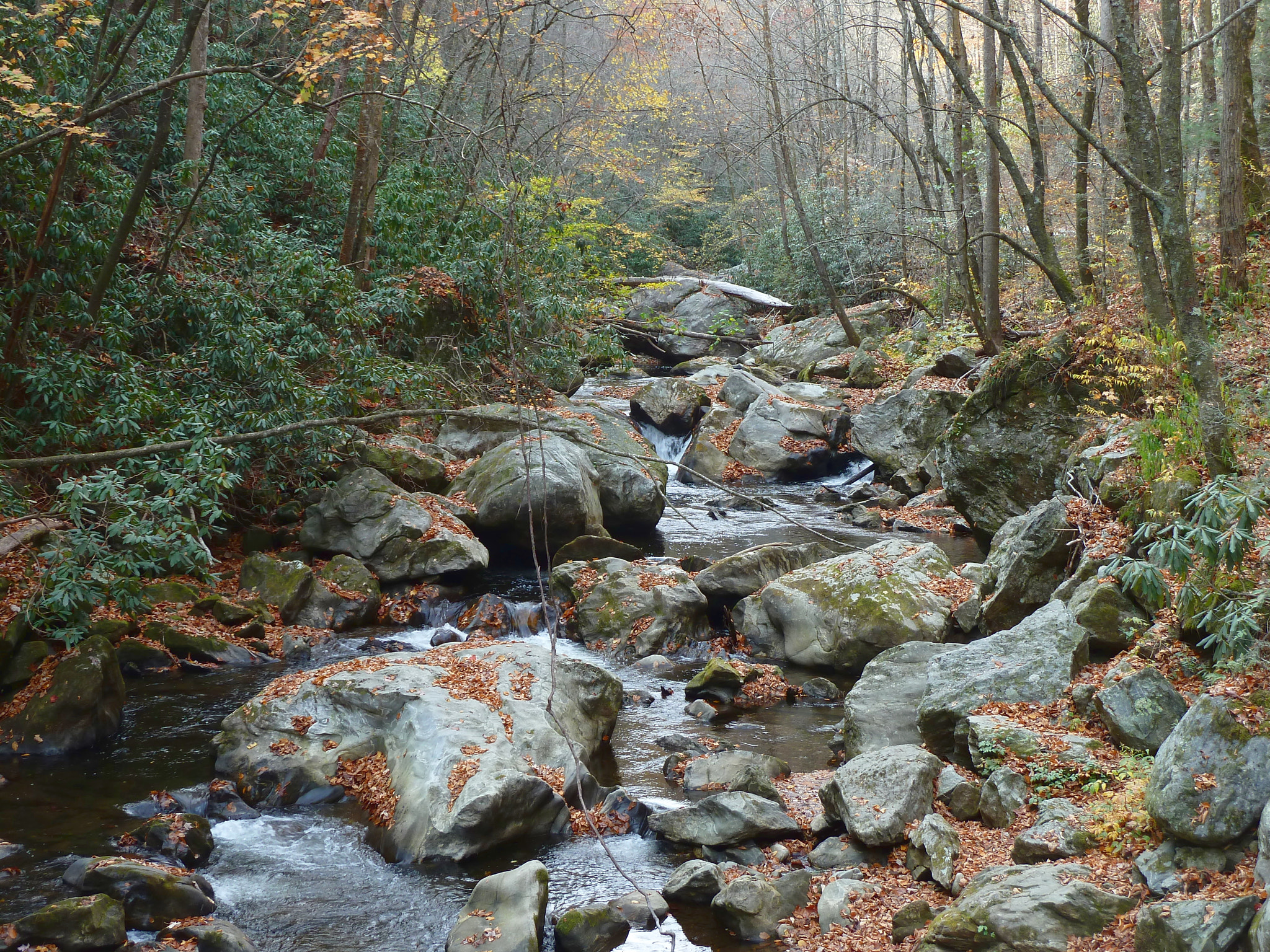 Panasonic Lumix DMC-ZS5 (Lumix DMC-TZ8) sample photo. Peaceful river photography
