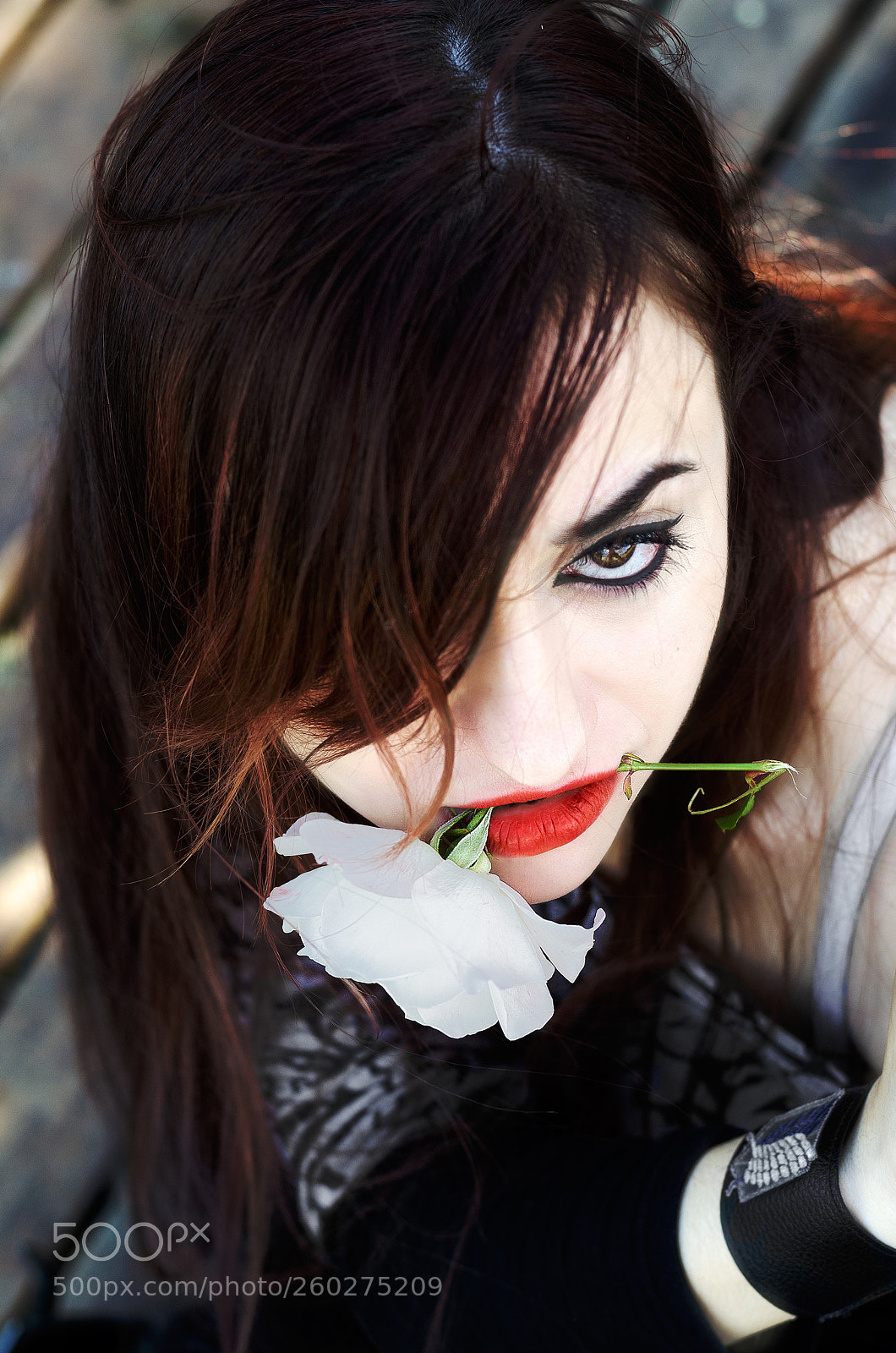 Nikon D5100 sample photo. Pasion photography