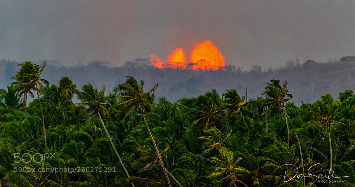Sony a7R III sample photo. Hilo, hawaii, united states. photography