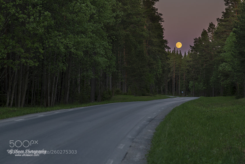 Nikon D610 sample photo. Full moon over country photography