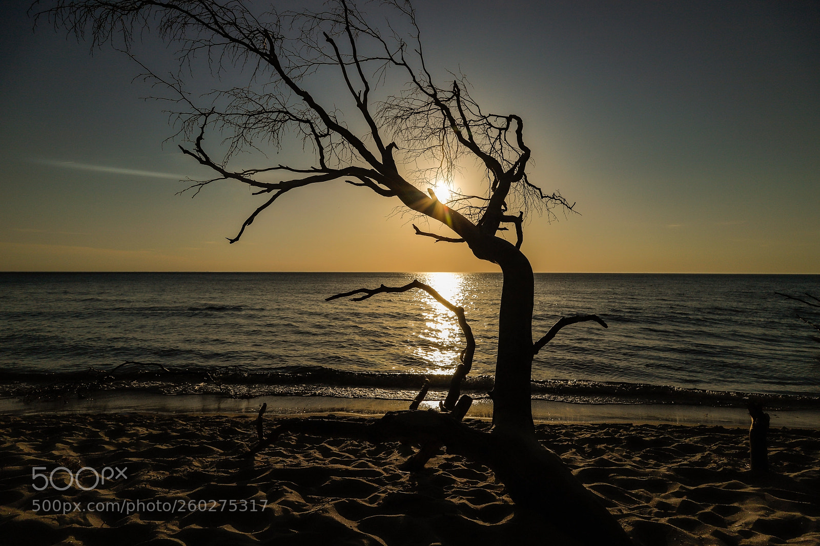 Canon EOS 6D Mark II sample photo. Westbeach darß germany photography