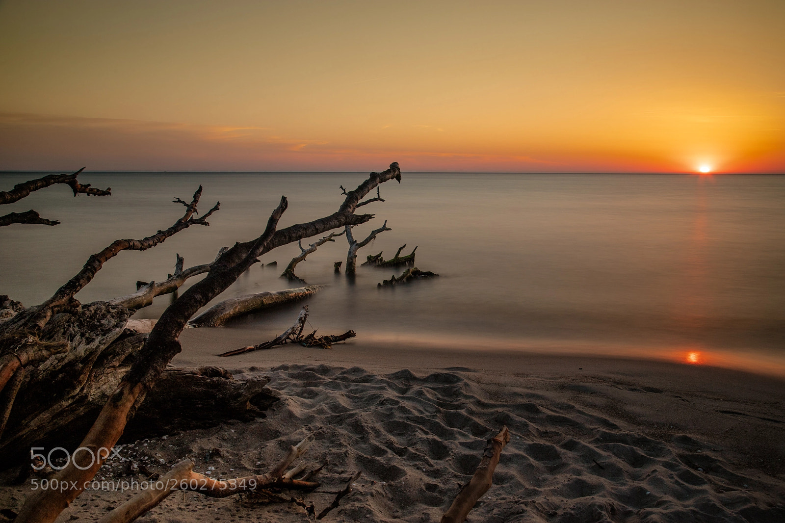 Canon EOS 6D Mark II sample photo. Westbeach darß germany photography