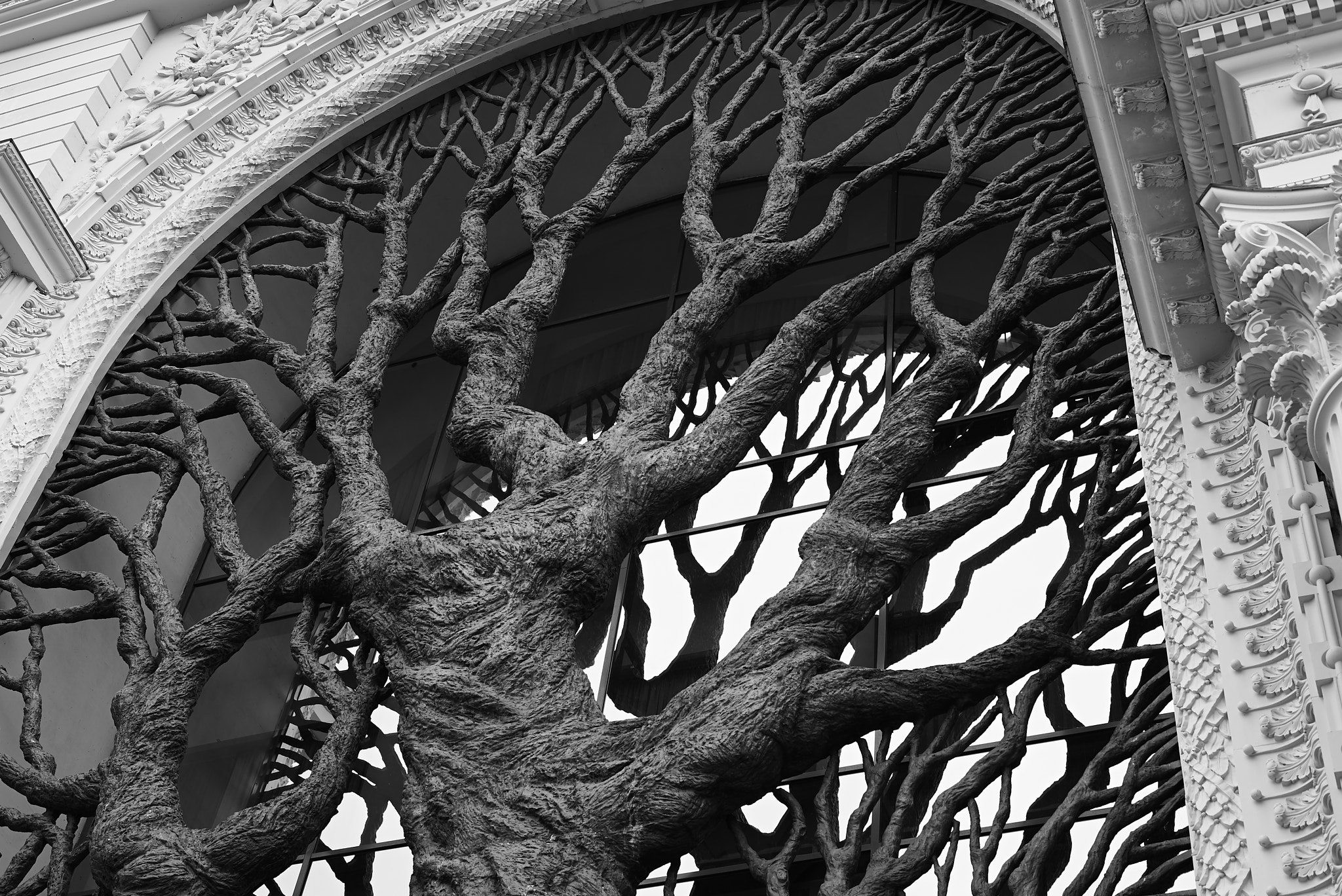 Sony a7S sample photo. Tree of metal photography