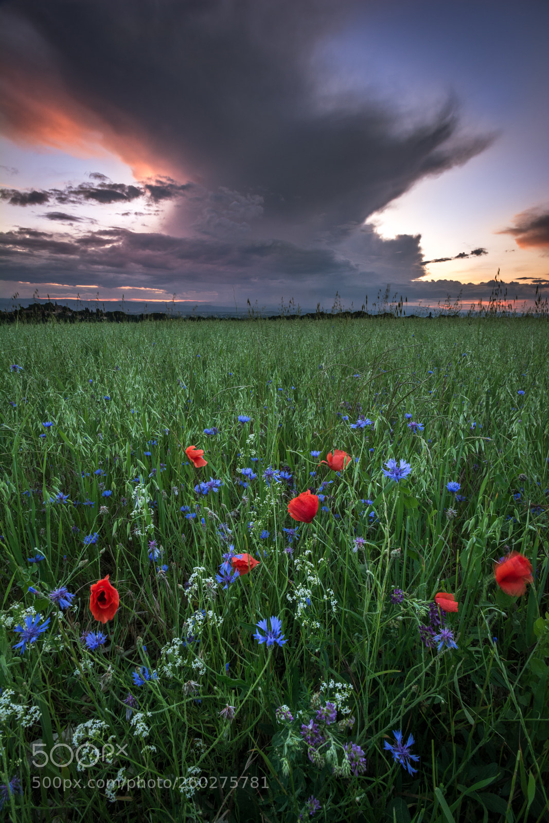 Nikon D7100 sample photo. Coucher de soleil photography