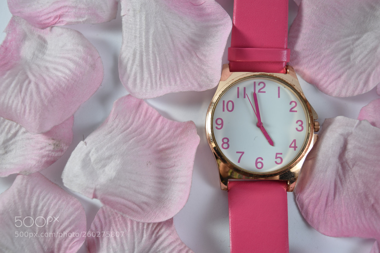 Nikon D5500 sample photo. Product shoot photography