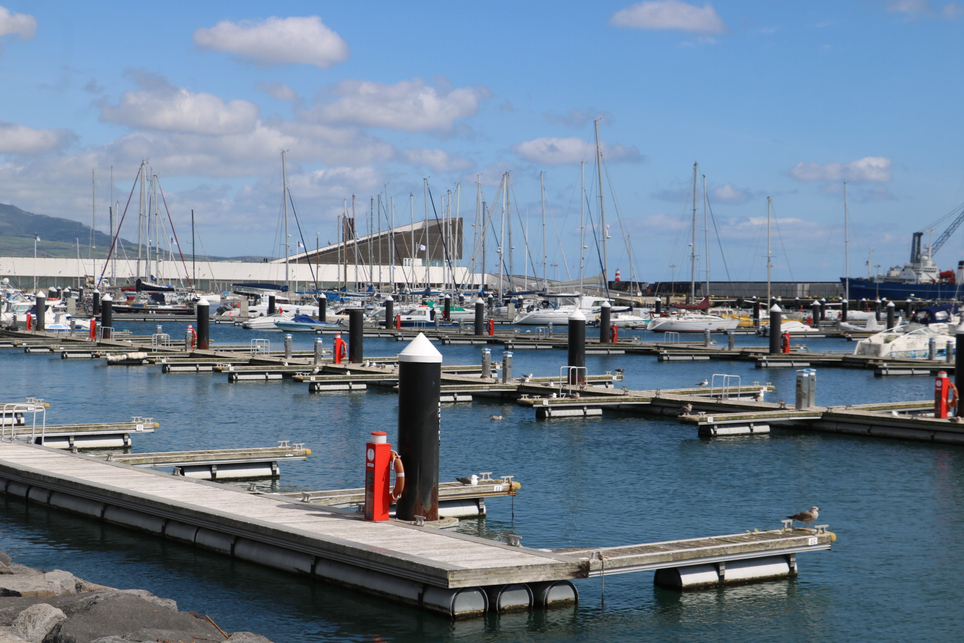 Canon EOS 750D (EOS Rebel T6i / EOS Kiss X8i) sample photo