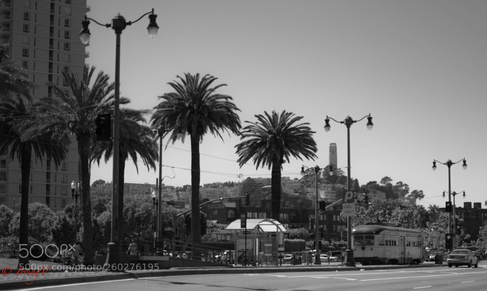 Nikon D5300 sample photo. Coit tower photography