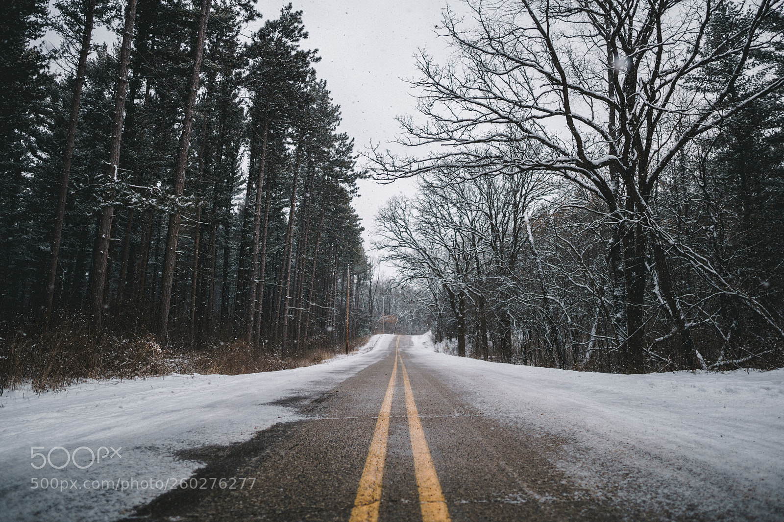 Sony a6000 sample photo. Dsc photography