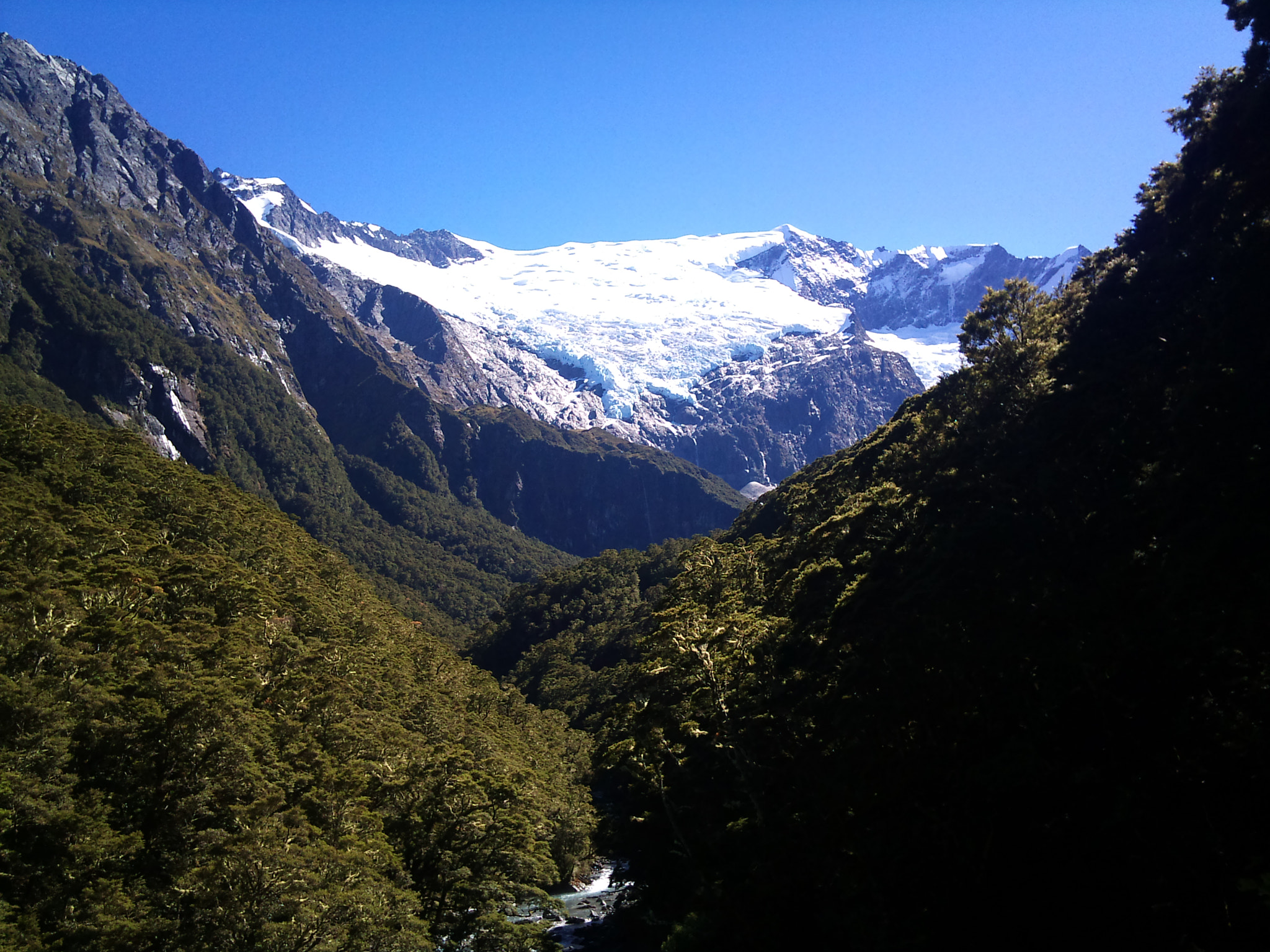 Sony Ericsson U10i sample photo. A song of ice and forrest photography