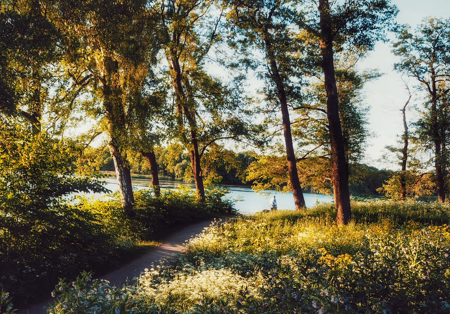 Olympus PEN E-PL7 sample photo. Summertimes photography