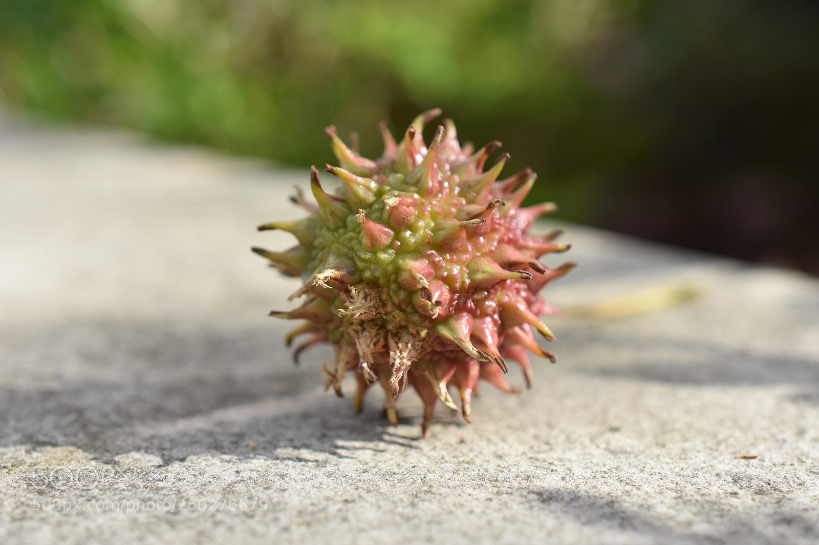 Nikon D3400 sample photo. The final resting place photography