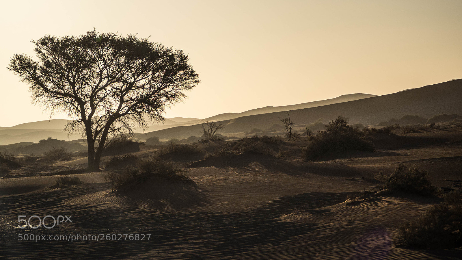 Olympus OM-D E-M1 sample photo. Sossusvlei dusk photography