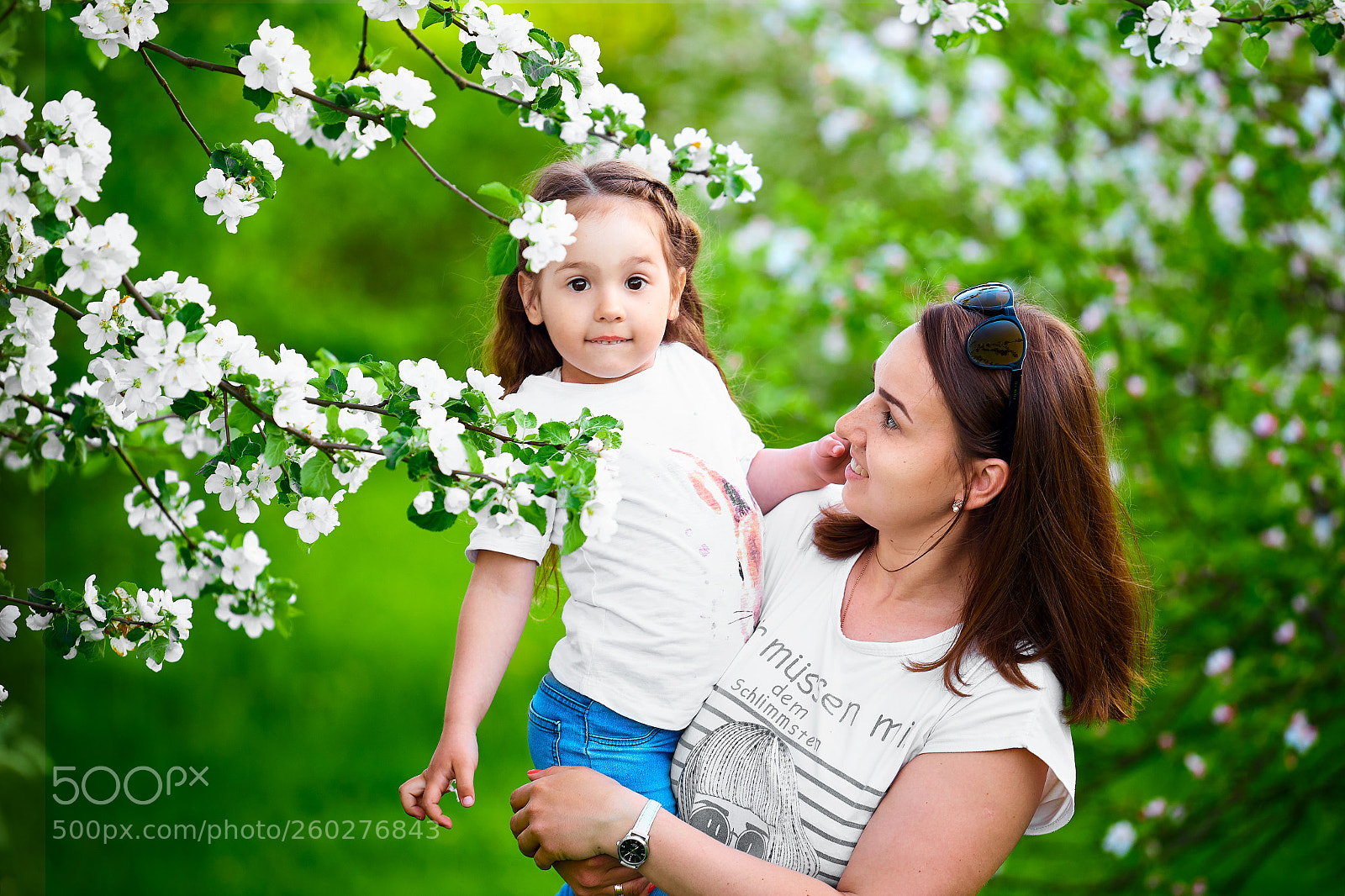 Canon EOS 6D sample photo. Apple blossom trees photography