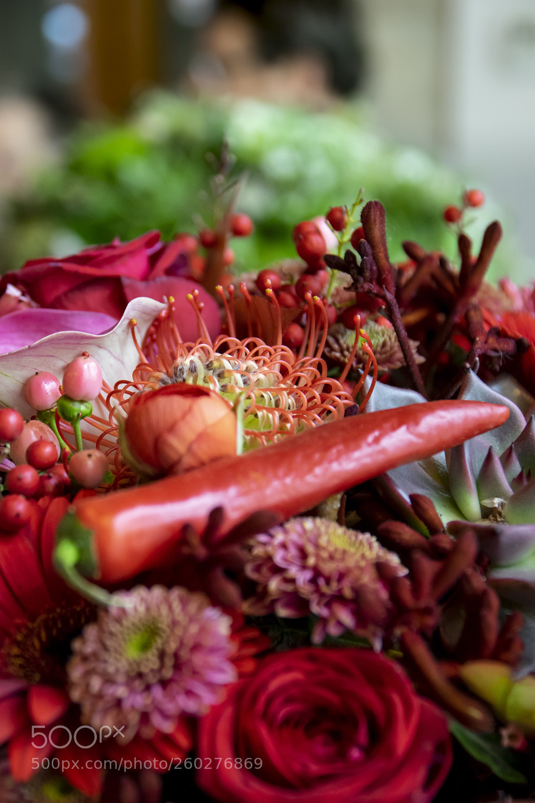 Nikon D5300 sample photo. Flowers red photography