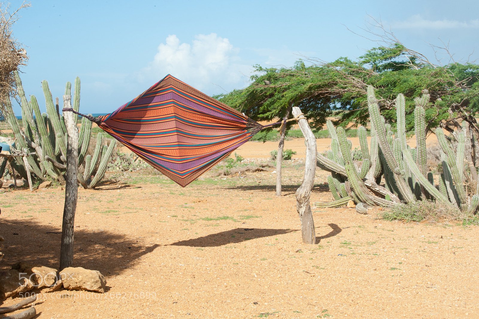 Nikon D700 sample photo. Resting in the desert photography