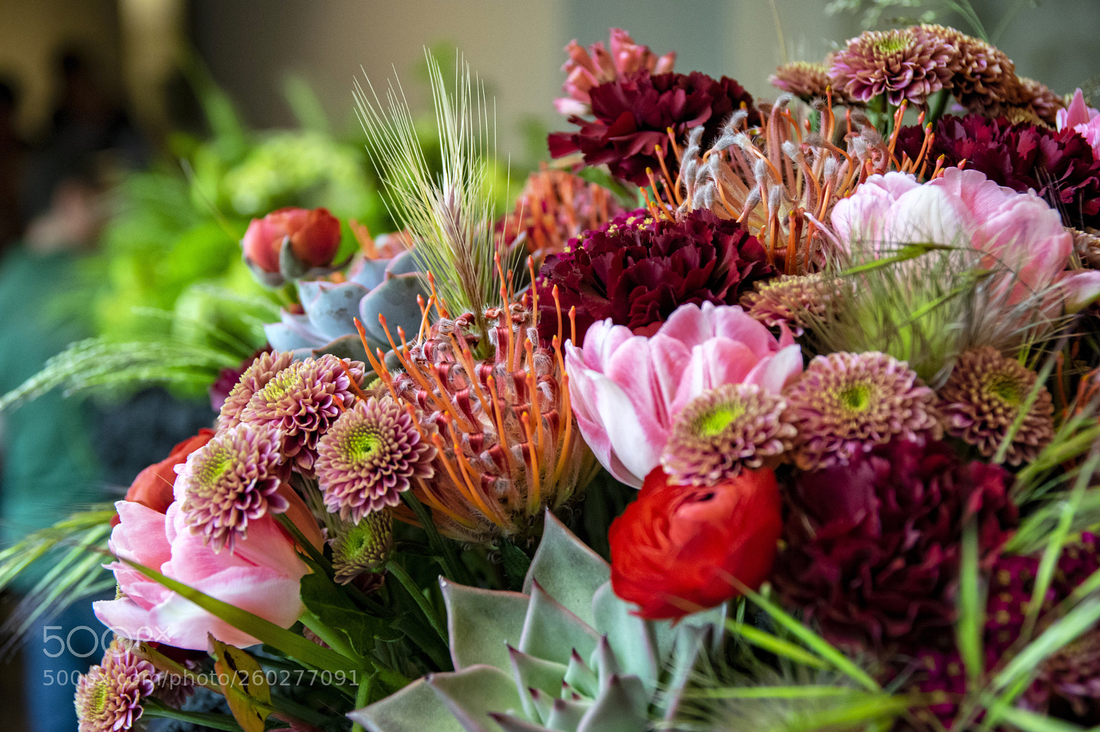 Nikon D5300 sample photo. Flowers photography