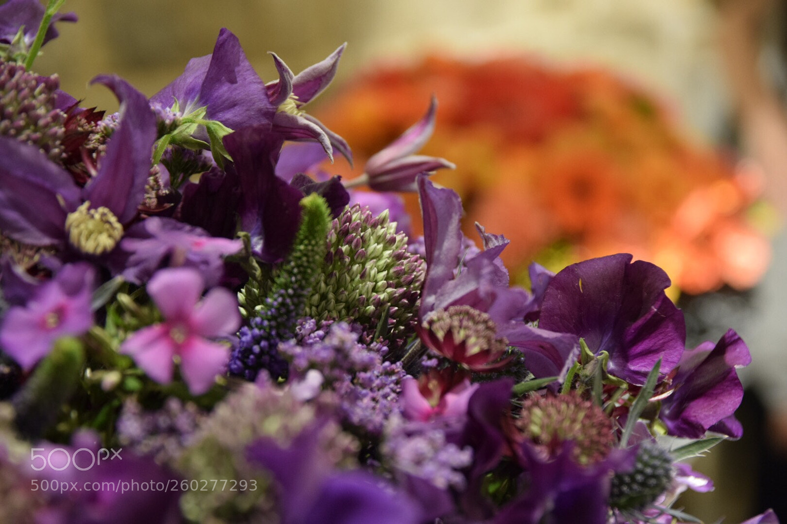 Nikon D5300 sample photo. Flowers photography