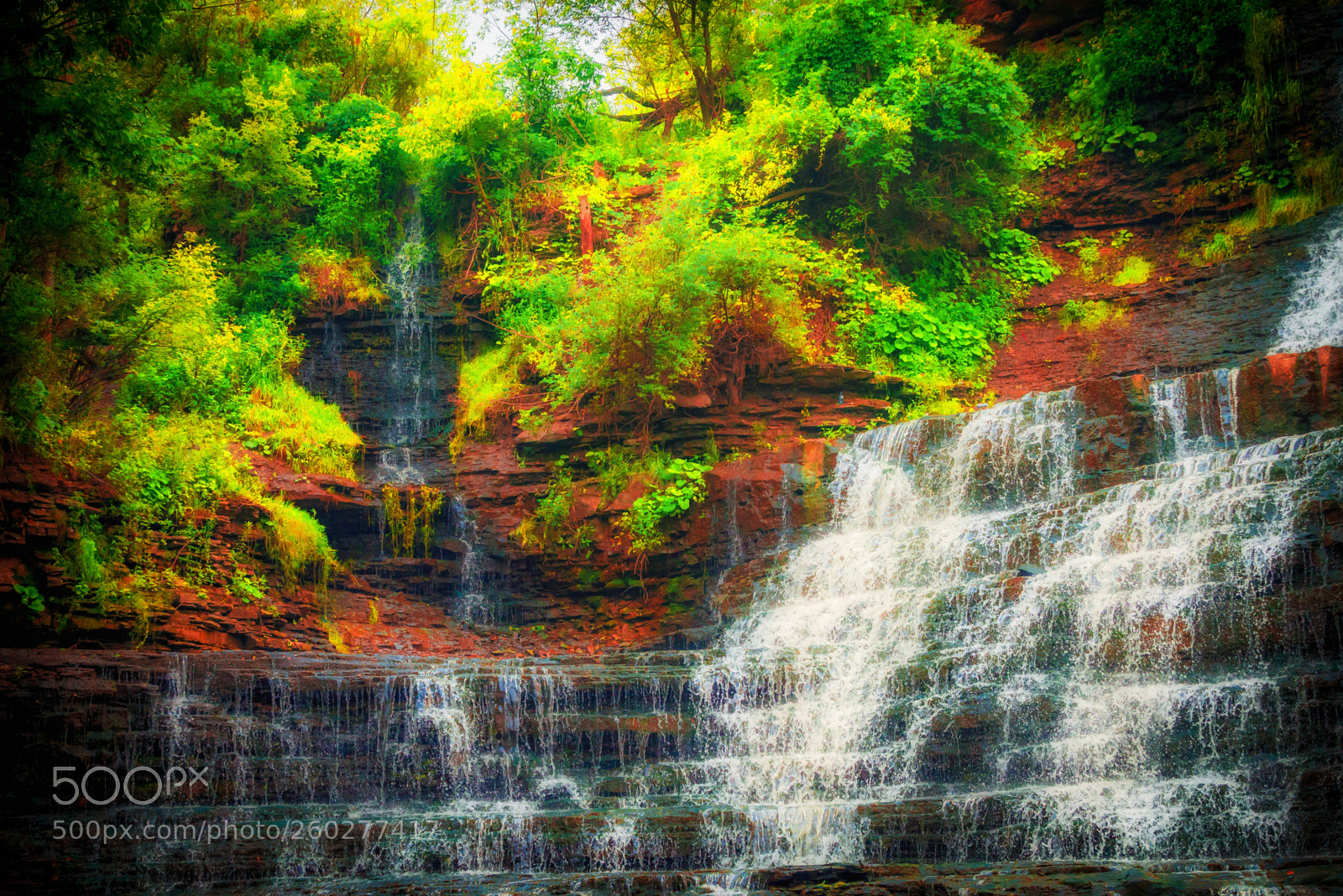 Nikon D600 sample photo. Albion falls 2 photography