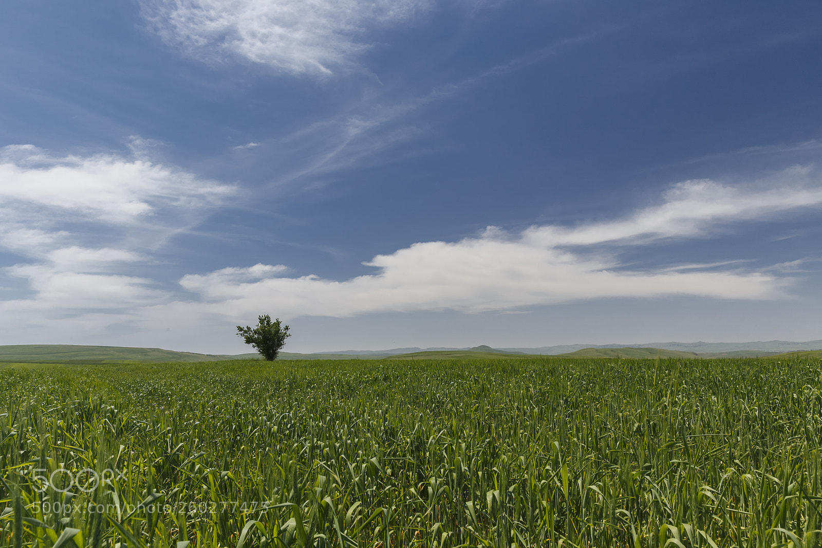 Canon EOS 6D sample photo. Crop fields in the photography