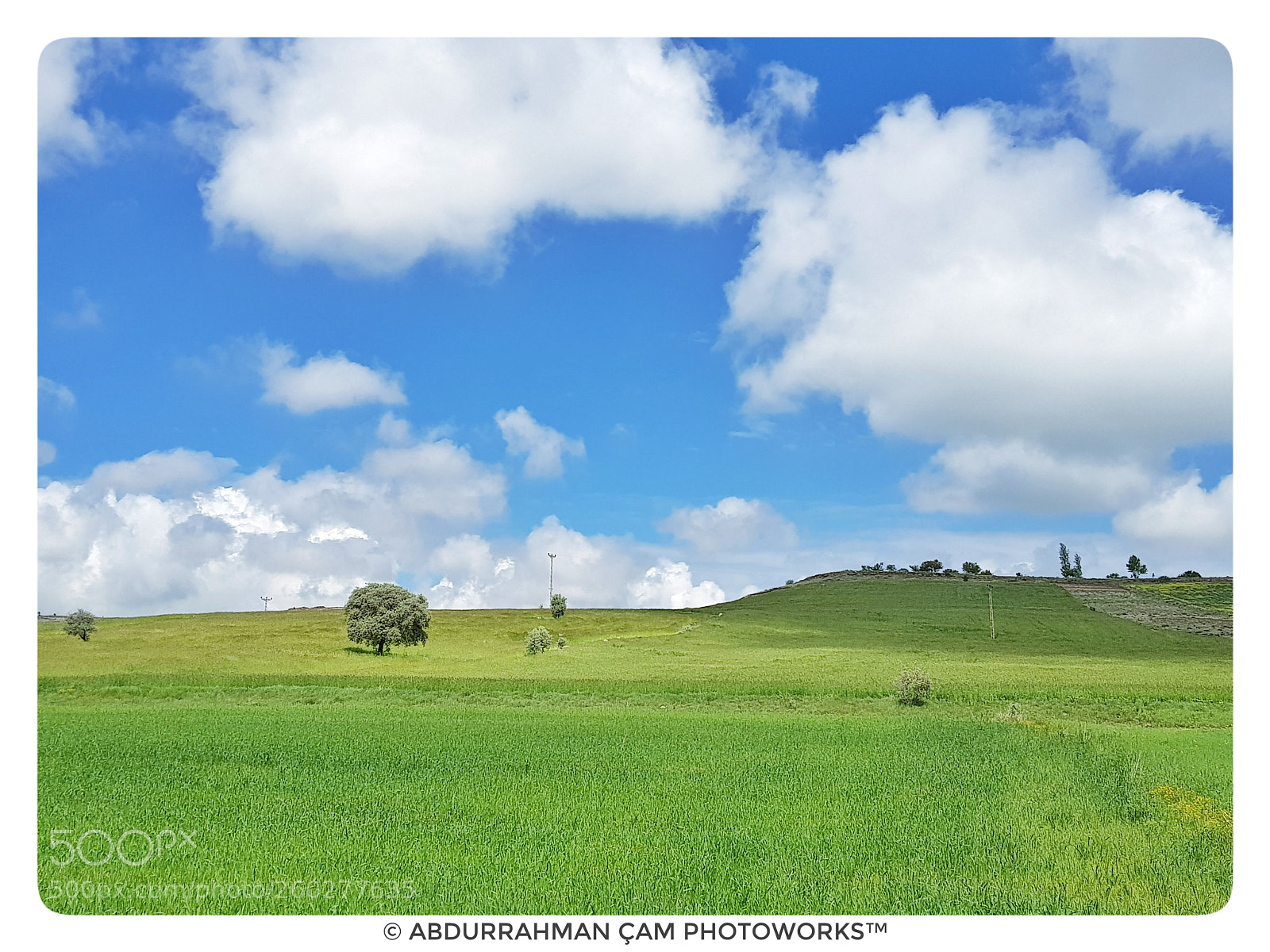 Samsung Galaxy S8 sample photo. Lone tree and clouds photography