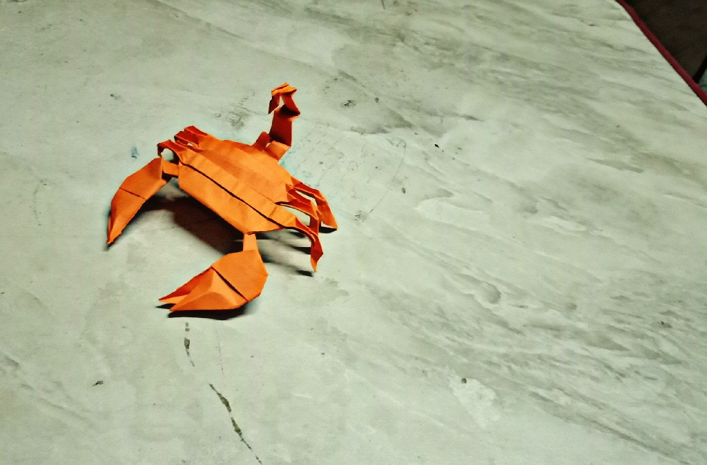 OPPO F5YOUTH sample photo. An origami scorpion photography