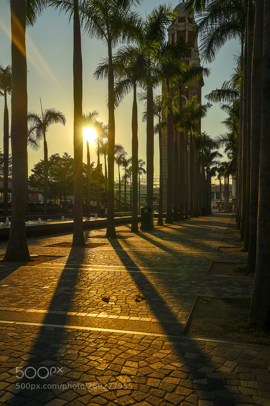 Sony a7 II sample photo. California-like summer photography