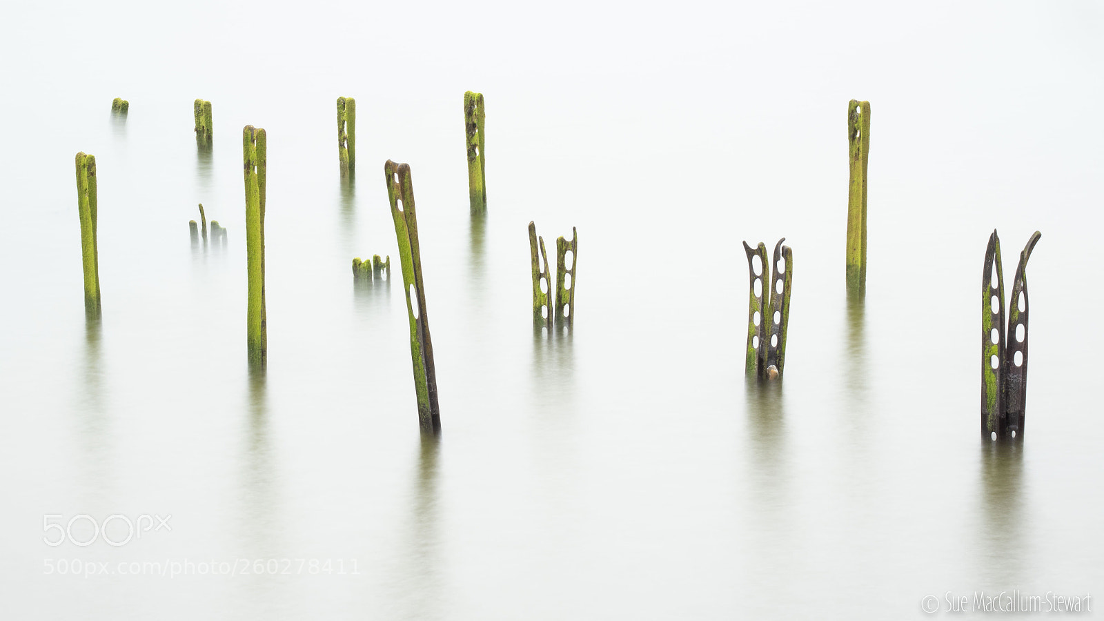 Olympus OM-D E-M1 Mark II sample photo. Poles apart photography