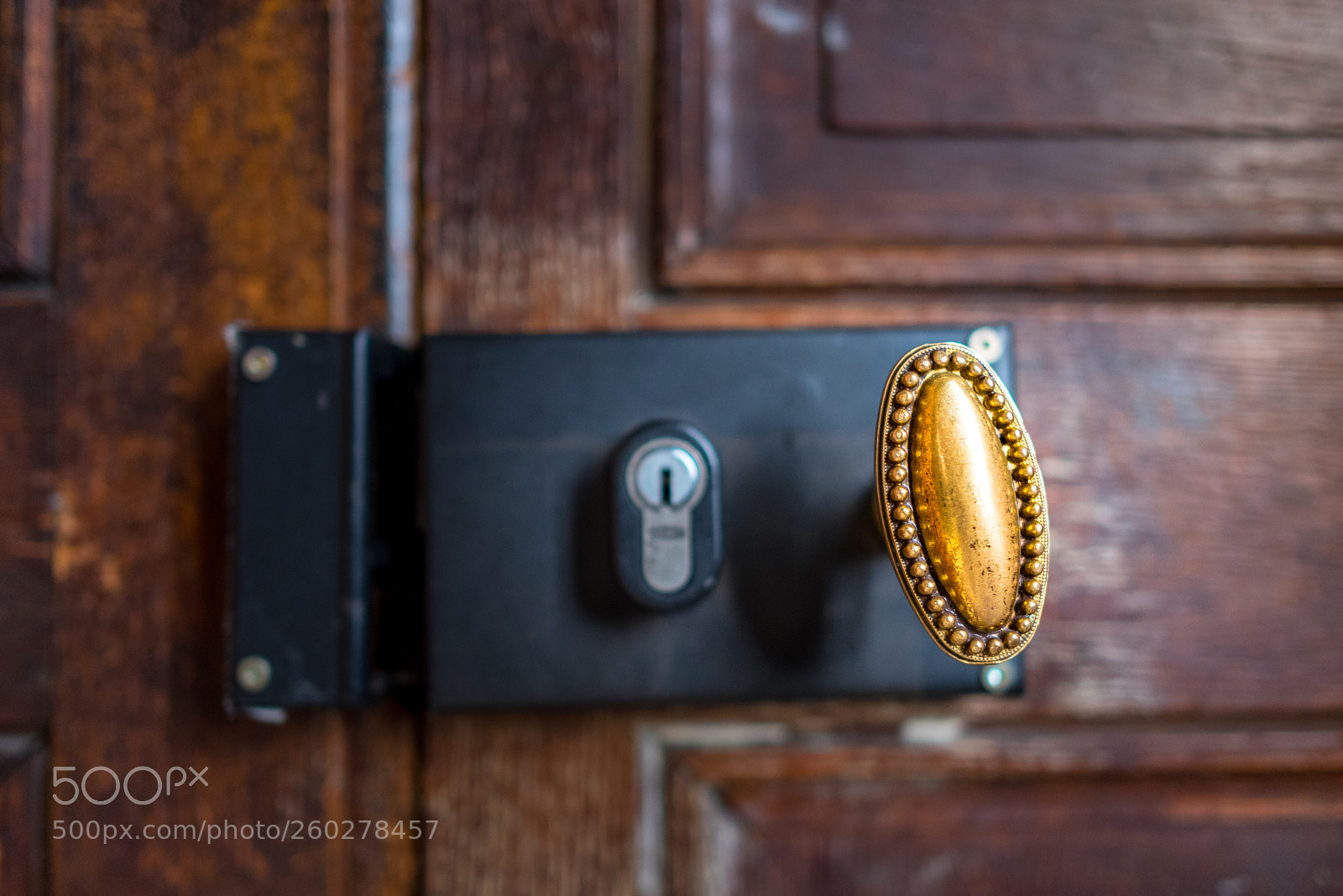 Nikon D750 sample photo. The brass knob photography