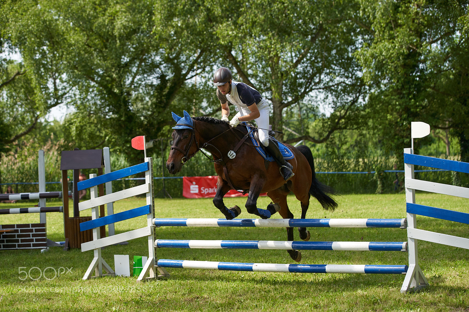 Sony a7 III sample photo. Horse jumping in daxlanden photography