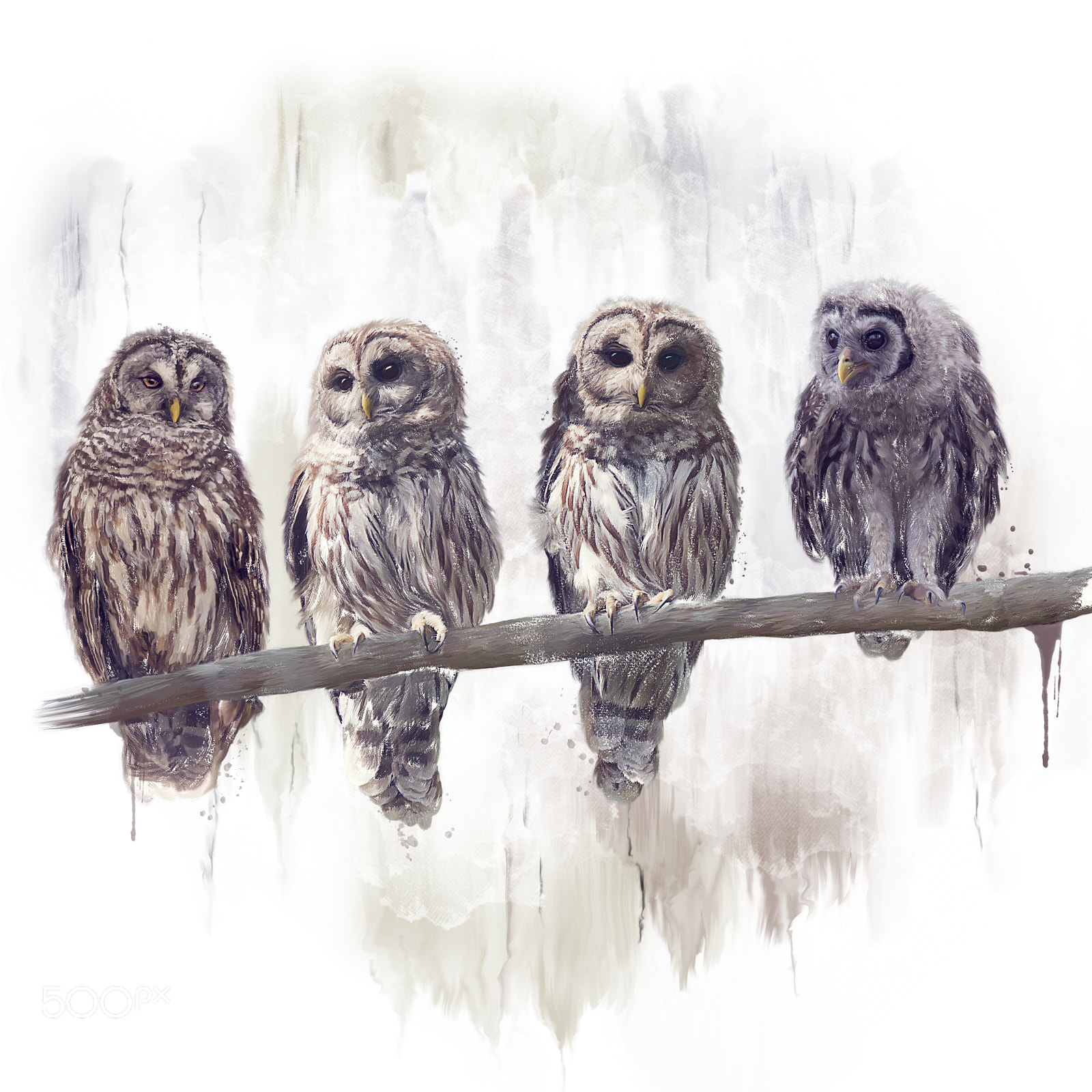 Nikon D800 sample photo. Barred owls watercolor photography