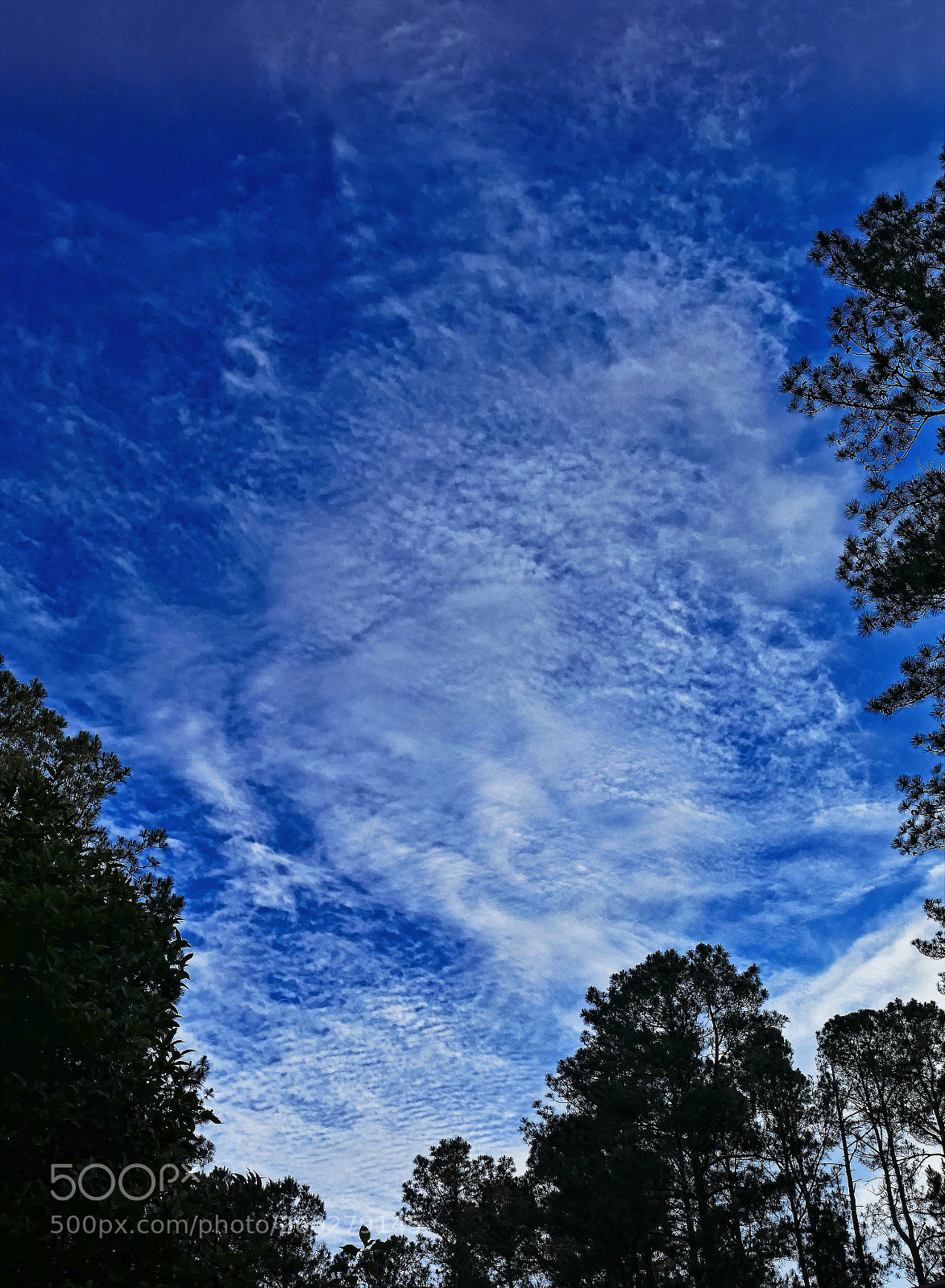 Panasonic Lumix DMC-FZ1000 sample photo. Blue sky photography