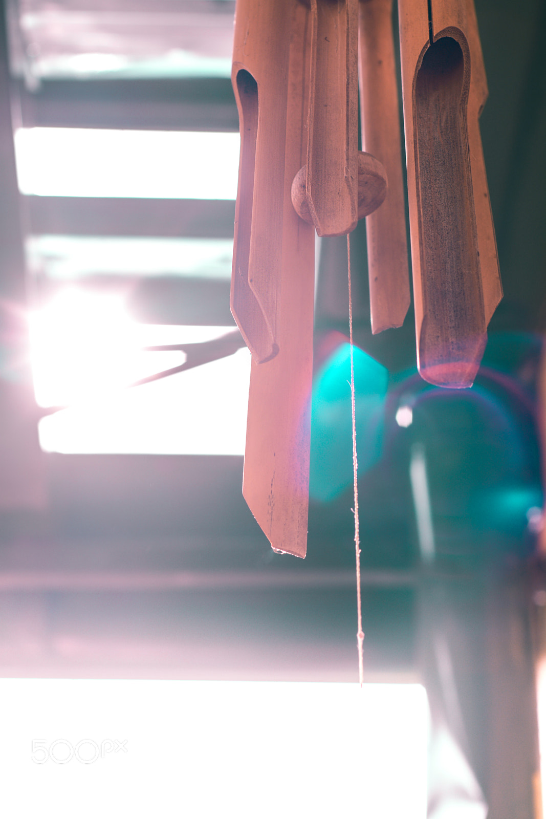 Nikon D5200 sample photo. Wassup color photography