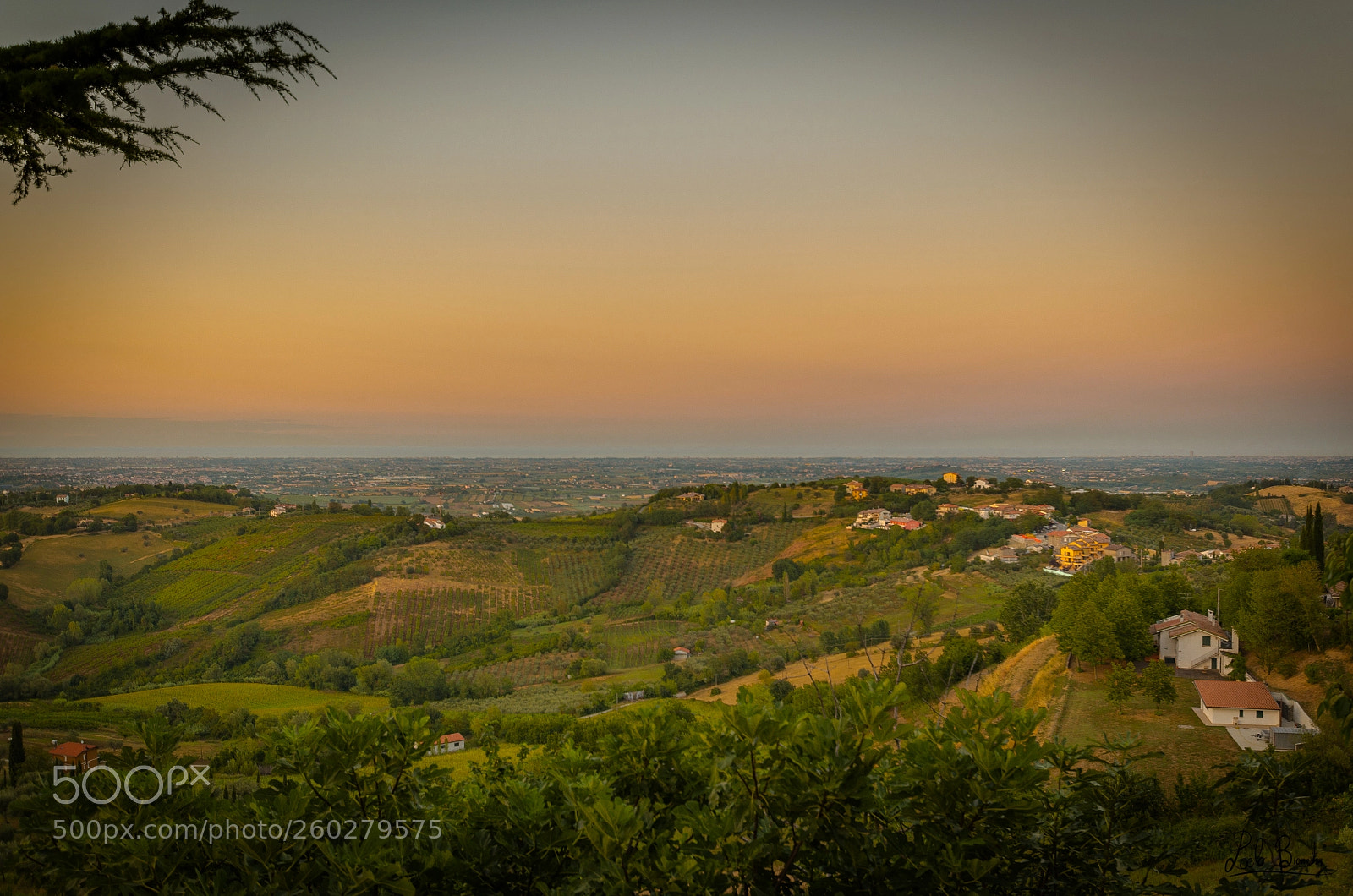 Nikon D5100 sample photo. Colline riminesi photography