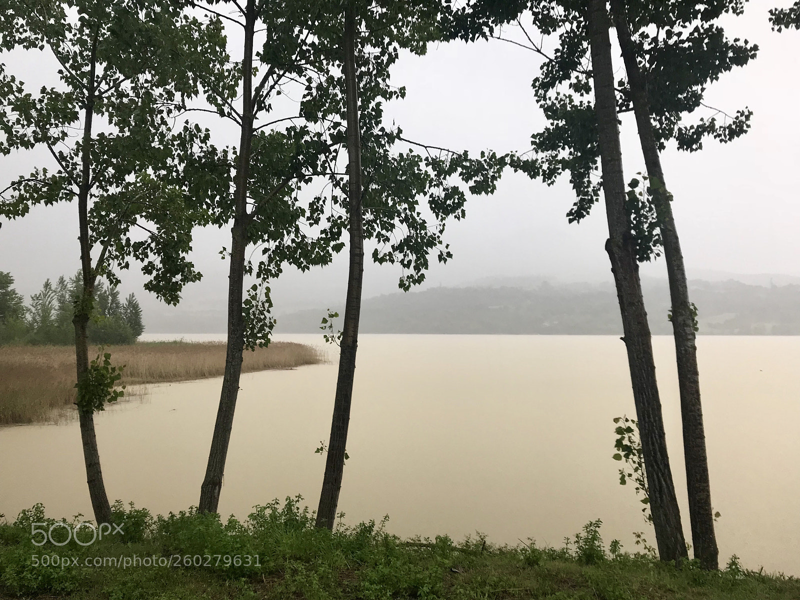 Apple iPhone 7 Plus sample photo. Cellers lake photography