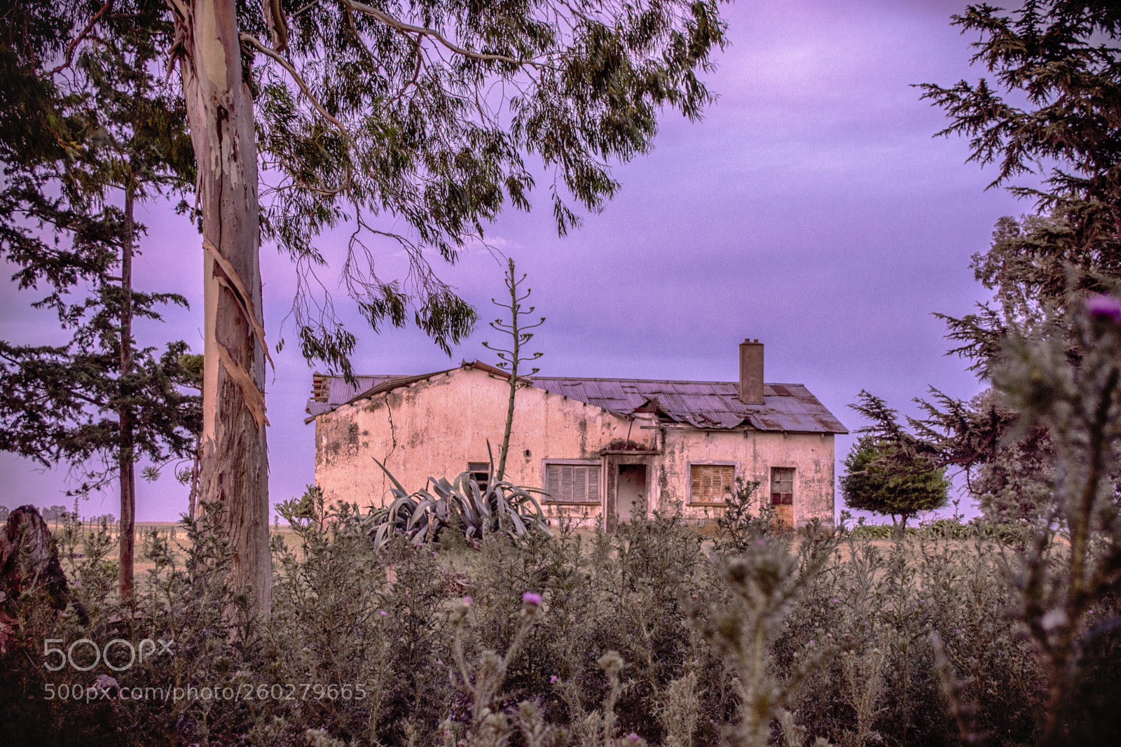 Nikon D5200 sample photo. Wassup color photography