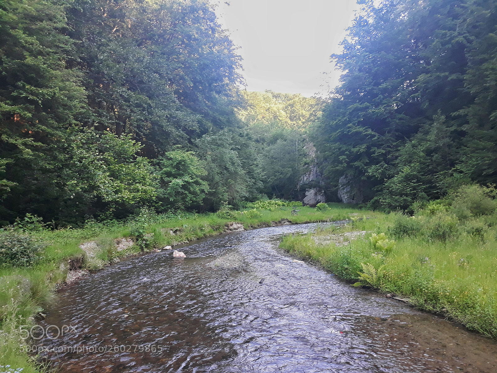 Samsung Galaxy J5 sample photo. A little oasis photography