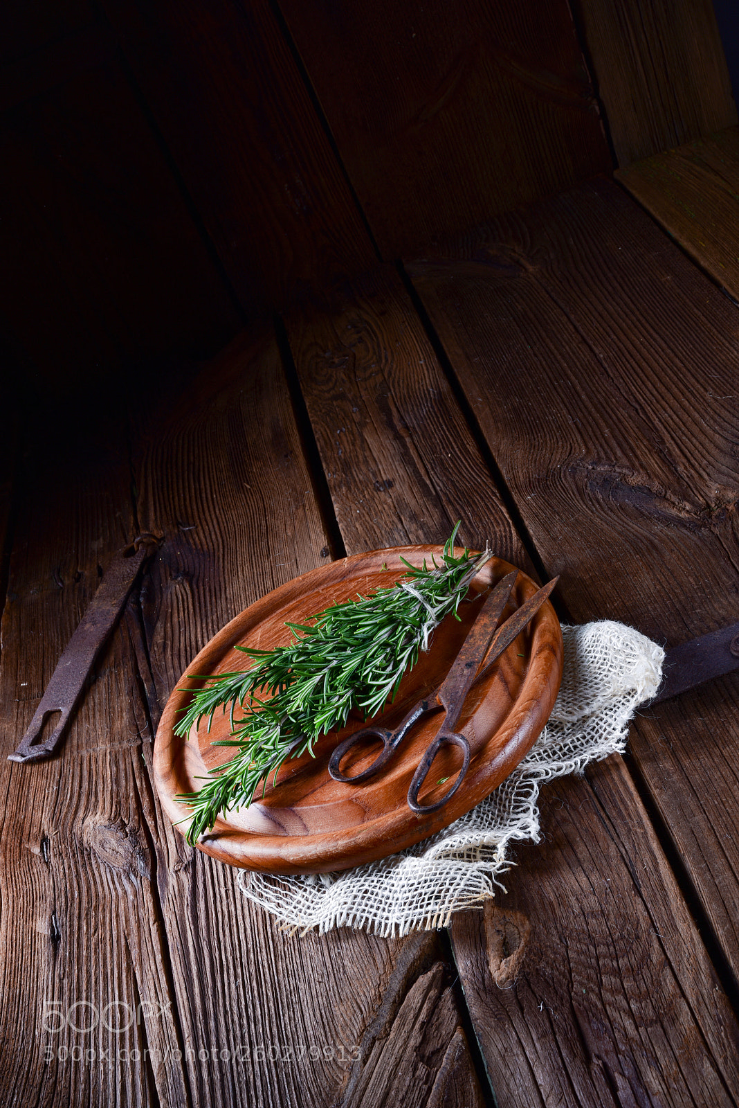 Nikon D810 sample photo. Rosmarin (rosmarinus officinalis) photography