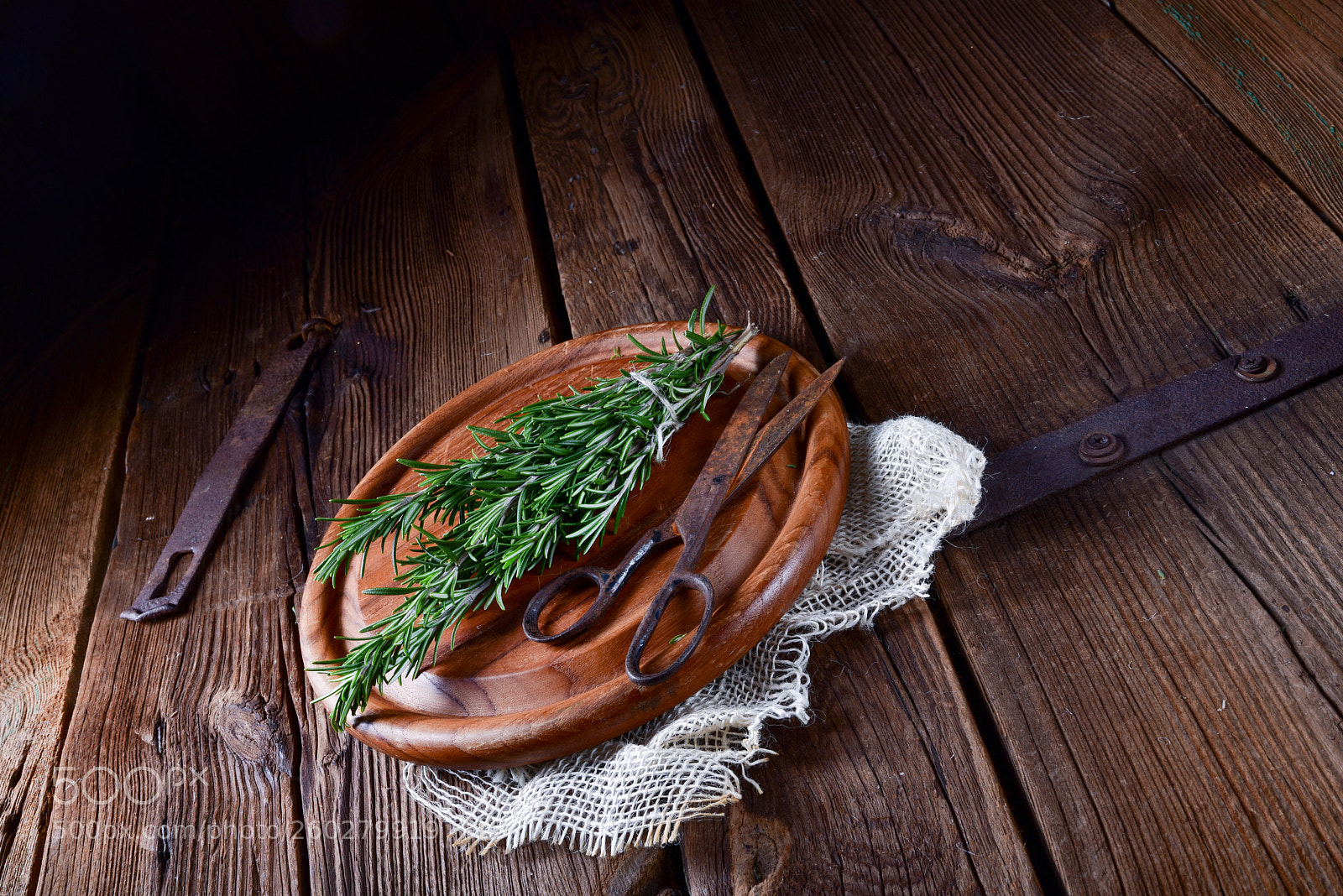 Nikon D810 sample photo. Rosmarin (rosmarinus officinalis) photography