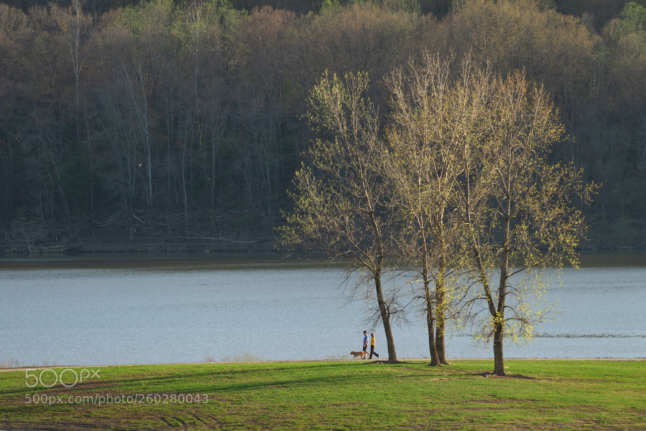 Canon EOS 7D sample photo. Lake walk photography