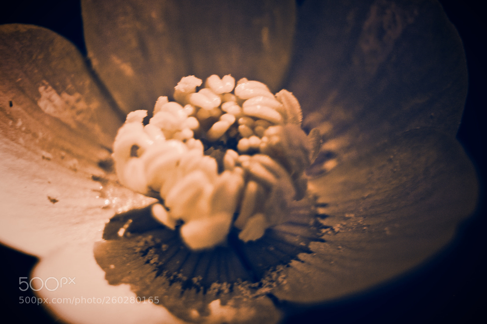 Canon EOS 700D (EOS Rebel T5i / EOS Kiss X7i) sample photo. Light and dark photography