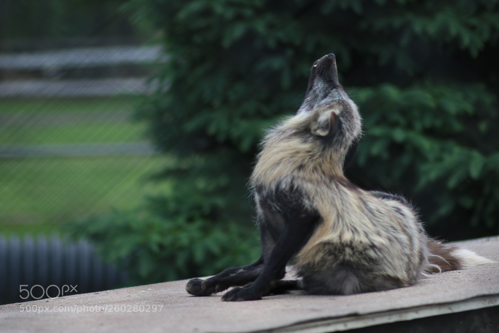 Canon EOS 750D (EOS Rebel T6i / EOS Kiss X8i) sample photo. Basking photography