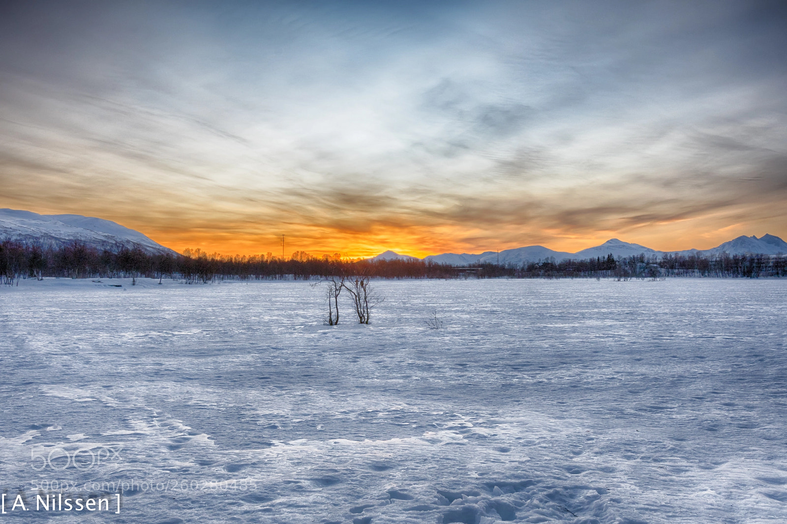 Nikon D500 sample photo. Prestvannet photography