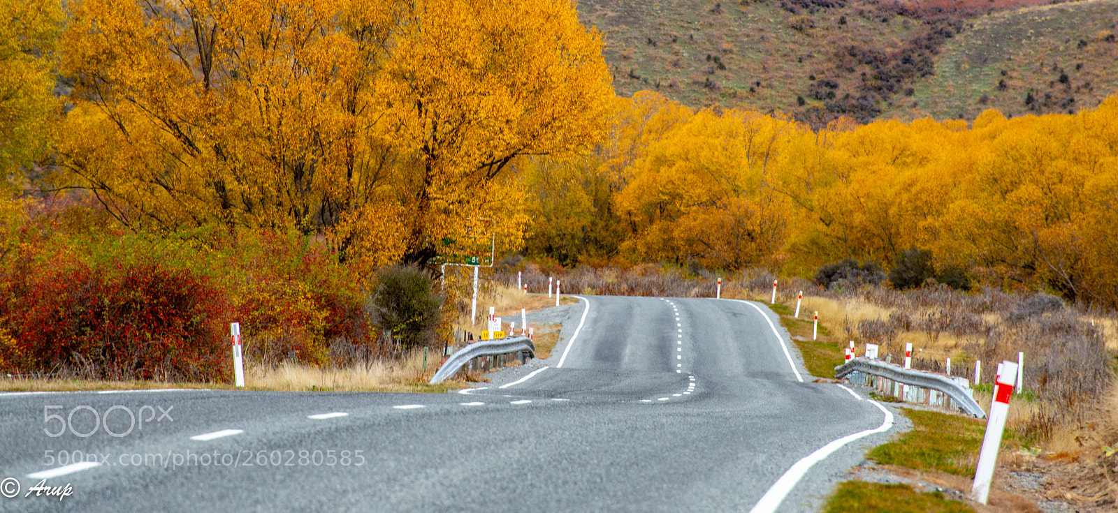 Nikon D610 sample photo. Autumn roads in south photography