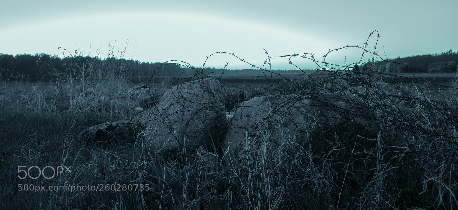 Canon EOS 5D Mark IV sample photo. Rocks photography