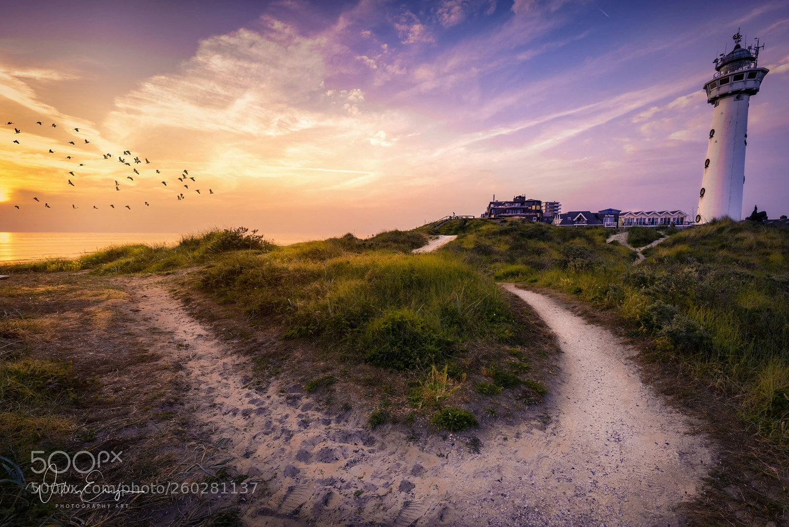 Nikon D750 sample photo. Last sunrays in egmond photography