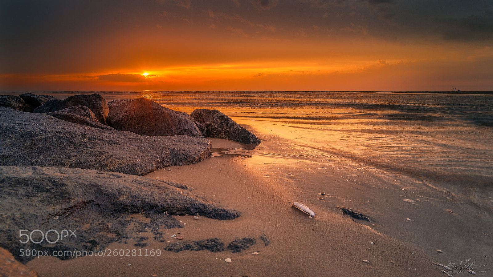Nikon D600 sample photo. Golden sunset photography