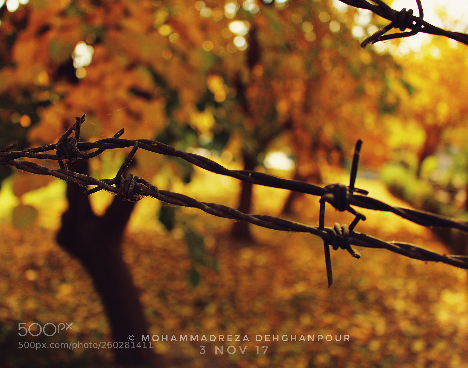 Canon EOS 700D (EOS Rebel T5i / EOS Kiss X7i) sample photo. Untitled photography