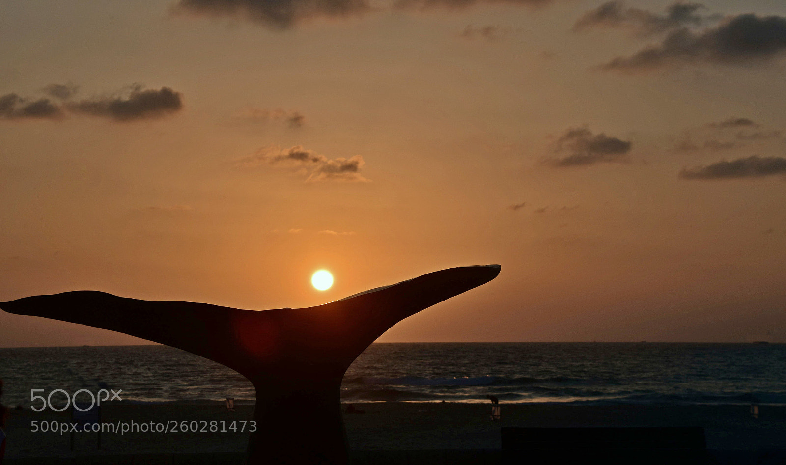 Nikon D5500 sample photo. Suns photography